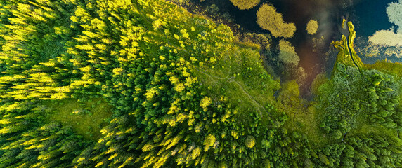 Bamselitjernet lake near Beitostolen surrounded by forests during sunset, Norway