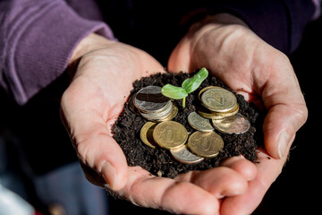 Man hands with sprout in palms.Saving money for growing business and future concept.Seedlings that grow in hands. idea of spending time saving money or investing for future business.