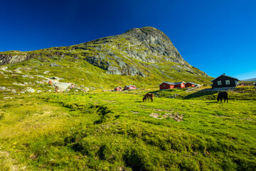 Hiking in Jotunheimen National Park in Norway, Synshorn Mountain