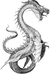 black dragon tattoo sea ​​serpent