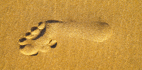 Fototapeta na wymiar footprint in the Sand texture for background layer image