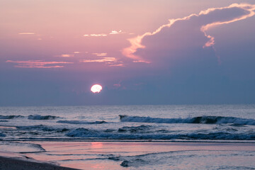 Sea Oats at Sunrise