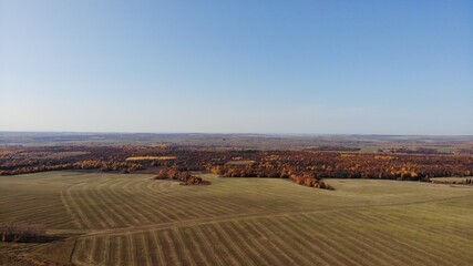 Fototapeta na wymiar Top view of the field in autumn. Autumn landscape. Photo from a quadcopter on the forest