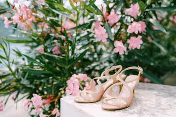 Golden sandals for women, against the background of a blooming rose bush of oleander.