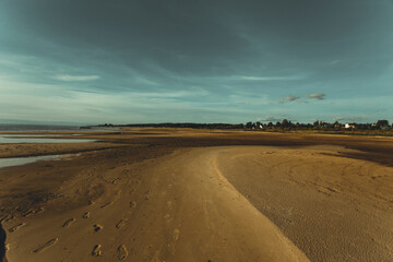 sand dunes on the beach