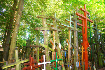 Fototapeta premium Krzyże wotywne na świętej górze Grabarka, Polska