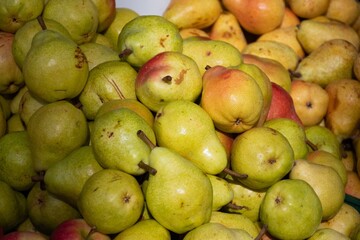 Yellow sweet fresh bio pears on a farmer agricultural market