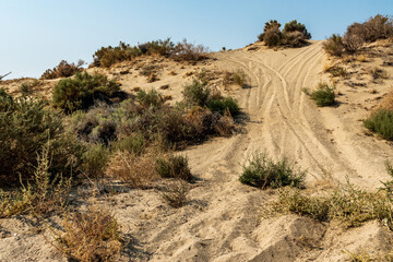 off road ATV vehicle tire tracks up sand dune hill