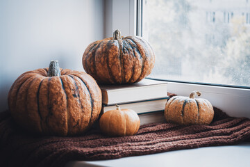 Cozy autumn still life. Books, Pumpkins and Cup of hot coffee on  windowsill with knitted Scarf. Hello Autumn and Happy Thanksgiving.
