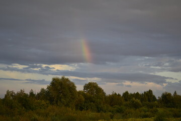 rainbow over the forest