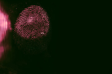 Close up beautiful abstract red colored fingerprint on  background texture for design. Macro...