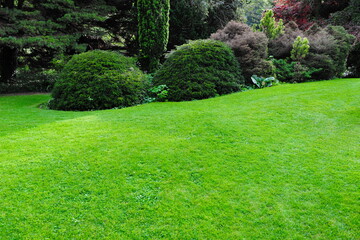 garden lawn
