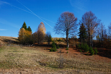 Colorful mountain landscape. Autumn in the mountains.