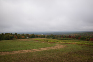 Obraz premium Path leading to apple orchard, foliage, lake, and overcast morning - Acton, Maine