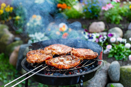 Grill. Grillowanie w ogrodzie. 