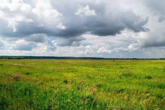 Landscape of nature. The image shows dramatic clouds, a field and a strip of forest.