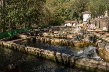 Rustic outdoor pools of fish farm in Cazorla. Spain. Trout farming