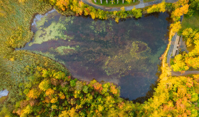 Panorama of forest in the autumn from height a beautiful calm lake in the landscape