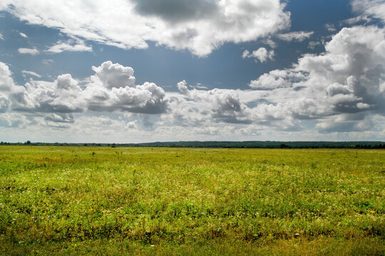 Landscape of nature. The image shows dramatic clouds, a field and a strip of forest.