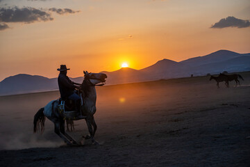 Wild horses run in foggy at sunset. Wild horses are running in dust. Near Hormetci Village, between...
