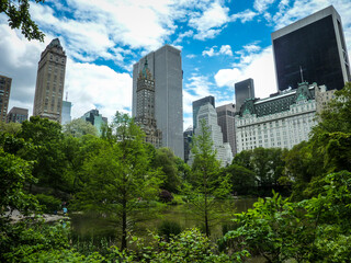 central park in new york on a warm summers day