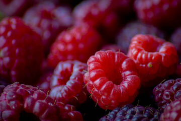 Himbeeren in Nahaufnahme rot saftig vegan