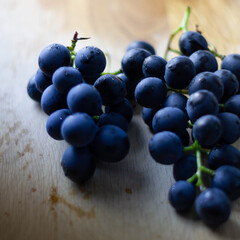 blaue Weintraube auf Holz Eiche Textfrei niemand