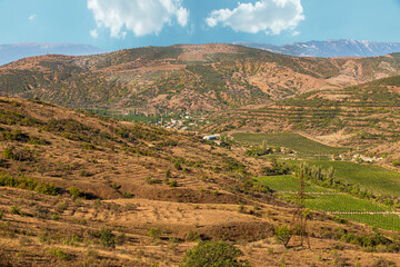 Fototapeta na wymiar Landscape of the Crimean mountains, on a bright Sunny day, a gorge between the mountains with vineyards and a village located in the lowlands