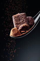Chocolate candy sprinkled with cocoa powder on a dark background.