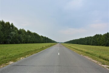 road in the forest