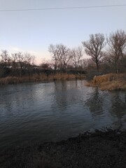 river in the park