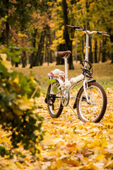 White city bike in autumn park
