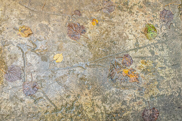abstract background of an old wet concrete surface close up