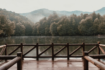 The Man Standing on Wooden Pier in Forest