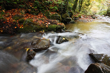 Mountain stream in forest with cascades