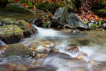 Fototapeta na wymiar Mountain stream in forest with cascades