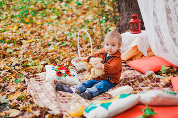 autumn photo session of a child in nature