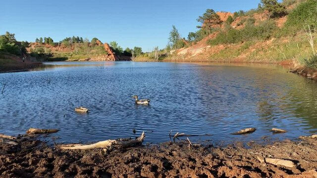Lake in Red Rocks open space near Colorado Springs, CO. Ducks in the pond, swimming