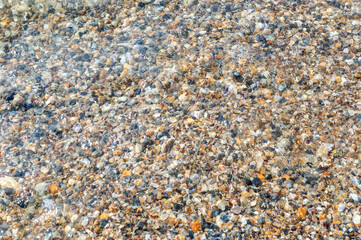Small seashells under sea water. Natural background.