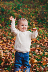 autumn photo session of a child in nature