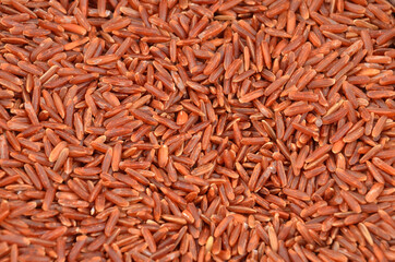 Brown rice, close-up