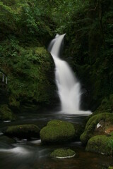 waterfall in the forest