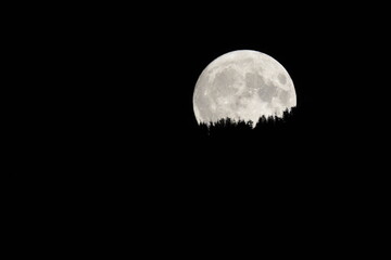 Aufgehender Vollmond