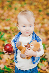 autumn photo session of a child in nature