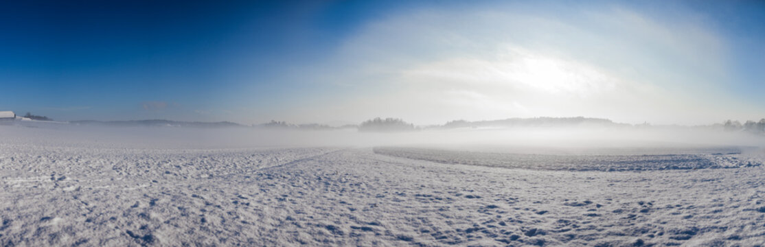 Snow landscape