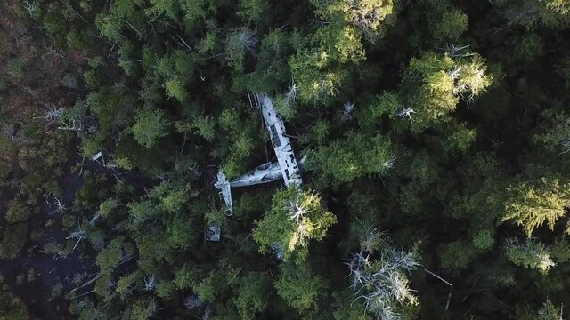 Aerial view of airplane wreck in forest, British Columbia, Canada