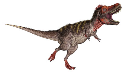 Tarbosaurus dinosaur roaring isolated in white background - 3D render
