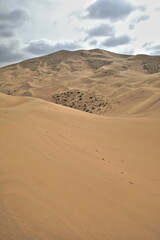 Fototapeta na wymiar Moving and stationary sand dunes-Badain Jaran Desert. Alxa Plateau-Inner Mongolia-China-1061