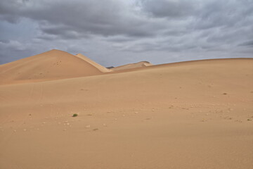 Fototapeta na wymiar Moving and stationary sand dunes-Badain Jaran Desert. Alxa Plateau-Inner Mongolia-China-1062