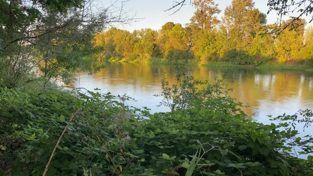 The calm Willamette River going through Corvallis, Oregon at sunset